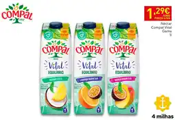 Recheio Néctar Compal Vital Gama promoção