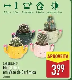 ALDI Mini - catos em vaso de cerámica promoção