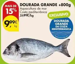 Pingo Doce Aquacultura - dourada grande +800g promoção