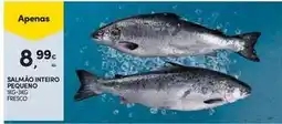 Continente Bom dia Salmão inteiro pegueno promoção