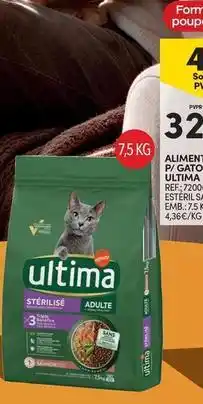 Continente Bom dia Ultima - p/ gato promoção