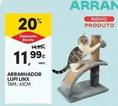 Continente Bom dia Arranhador lupi linx promoção