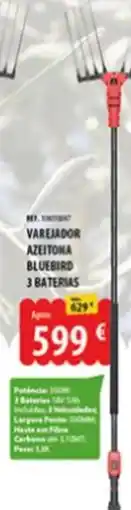 CAMPOCHEIO varejador azeitona bluebird promoção