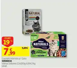 Auchan Comida Húmida p/ Gato Webbox promoção