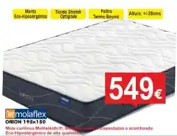 BragaJAV molaflex orion 195x150 promoção