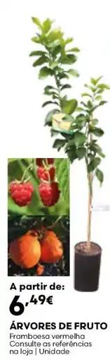 Bricomarché Árvores de fruto promoção