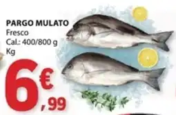 E.Leclerc Pargo mulato promoção