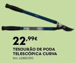 Bricomarché Tesourão de poda telescópica curva promoção