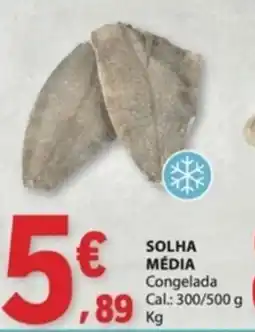 E.Leclerc Solha média promoção