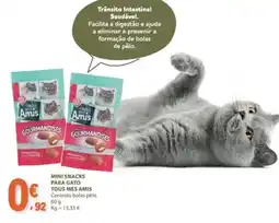 E.Leclerc Mini snacks para gato tous mes amis promoção