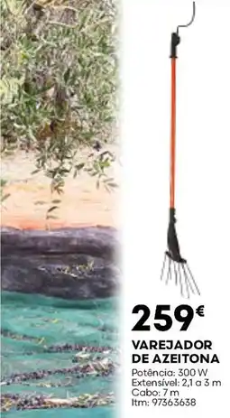 Bricomarché varejador de azeitona promoção