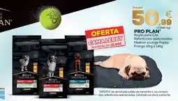 Kiwoko Pro plan ração para cão promoção