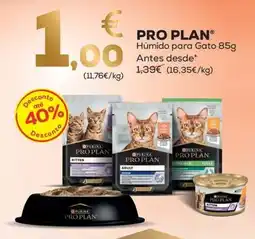 Kiwoko pro plan húmido para gato promoção
