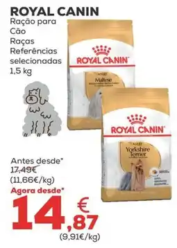 Kiwoko royal canin ração para cão raças selecionadas promoção