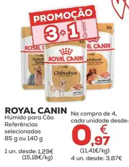 Kiwoko royal canin húmido para cão promoção