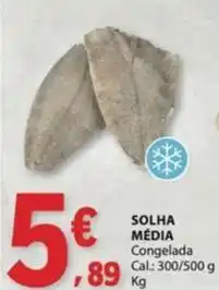 E.Leclerc Solha media promoção