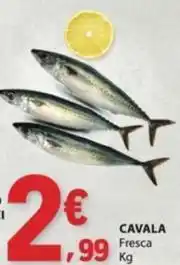 E.Leclerc Cavala promoção