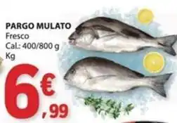 E.Leclerc Pargo mulato promoção