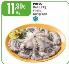 Intermarché Polvo promoção