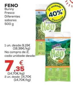 Kiwoko Feno bunny promoção