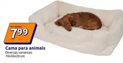 Action Cama para animais promoção