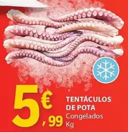 E.Leclerc Tentáculos de pota congelados promoção