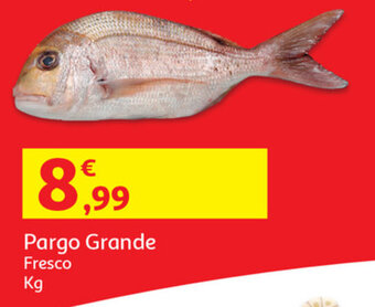 Auchan Pargo Grande promoção