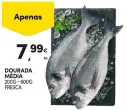 Continente Dourada média promoção