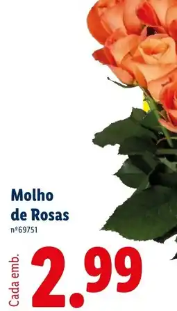 Lidl Molho de Rosas promoção