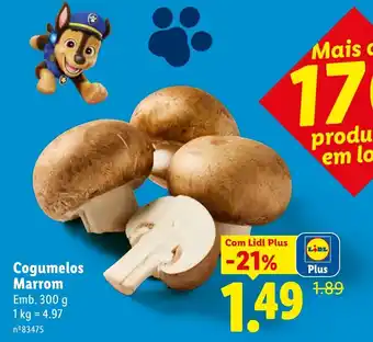 Cogumelos Marrom