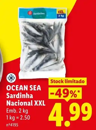 Ocean sea sardinha nacional xxl