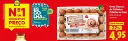 Lidl Ovos Classe L de Galinhas Criadas no Solo promoção