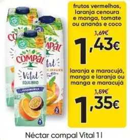 Froiz Néctar compal vital 11 promoção