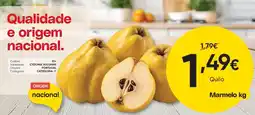 Froiz Marmelo promoção
