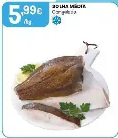 Intermarché Solha media congelada promoção