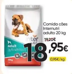 Froiz Comida cães internutri adulto promoção