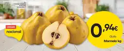 Froiz Marmelo promoção