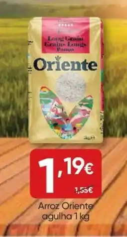Froiz Arroz Oriente agulha promoção