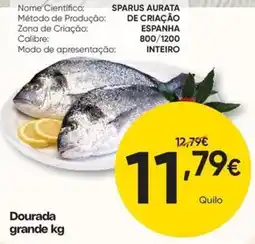 Froiz Dourada grande kg promoção