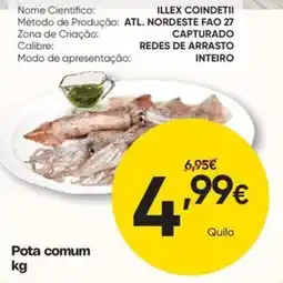 Froiz Pota comum promoção