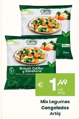 Roque Supermercados Mix Legumes Congelados Artiq promoção