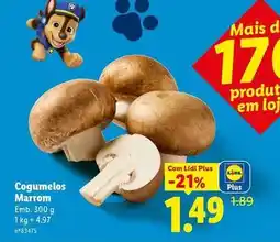 Lidl com - cogumelos marrom promoção