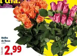 Lidl Molho de rosas promoção