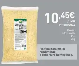 Recheio Froiz - queijo mozzarella pro promoção