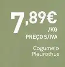 Recheio Cogumelo pleurothus promoção
