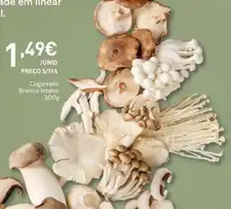 Recheio Cogumelo branco interior promoção