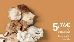 Recheio Portobello grande promoção