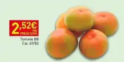 Recheio Tomate bb promoção