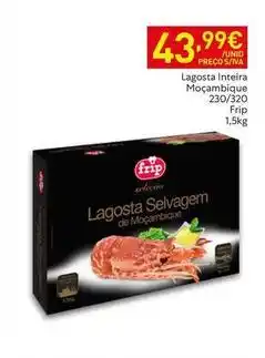 Recheio Frip - lagosta inteira mocambique 230/320 promoção