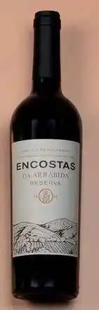 Recheio Dia - encostas promoção
